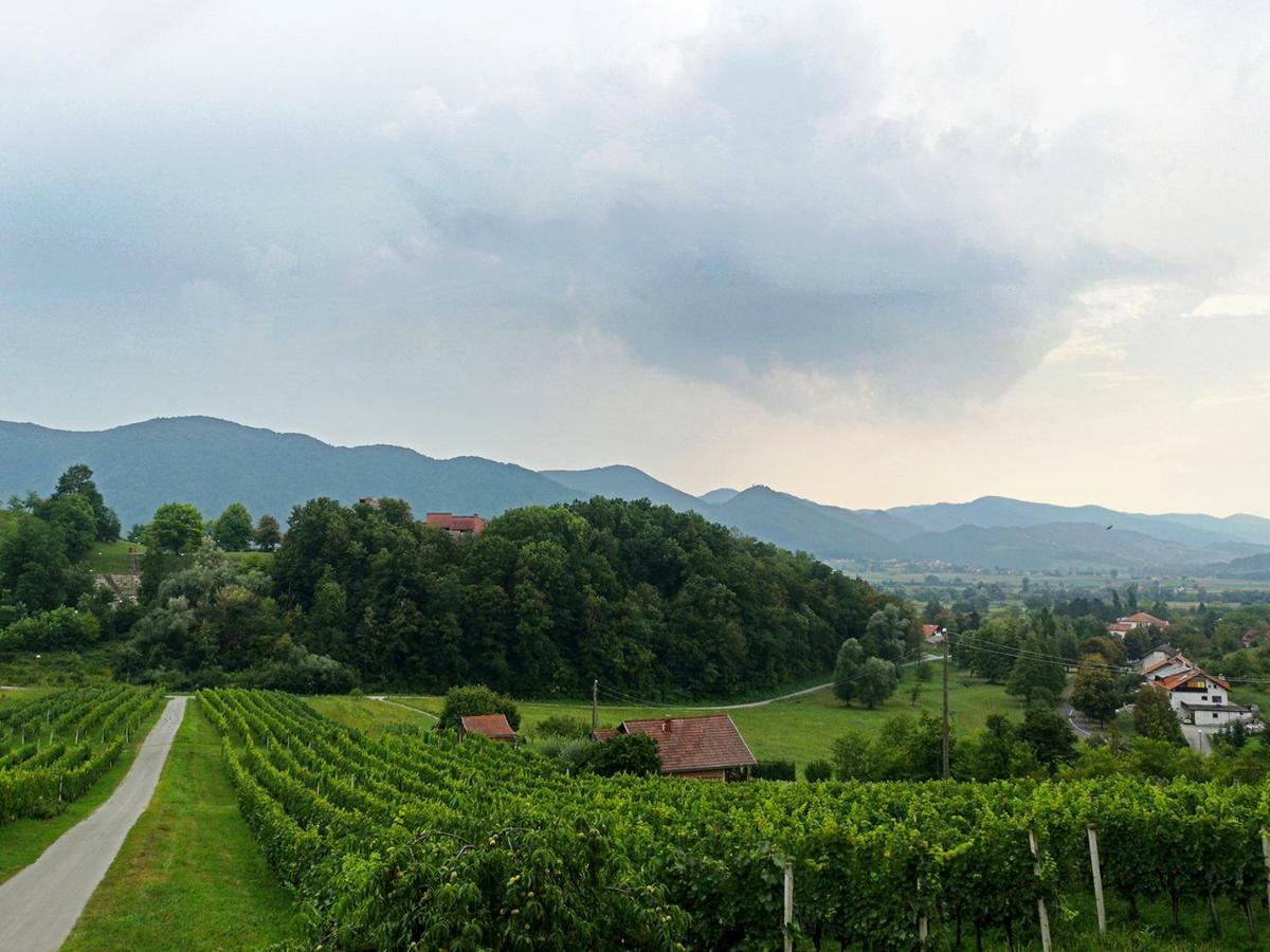Kuca Za Odmor Pri Brozu Apartment Kumrovec Bagian luar foto
